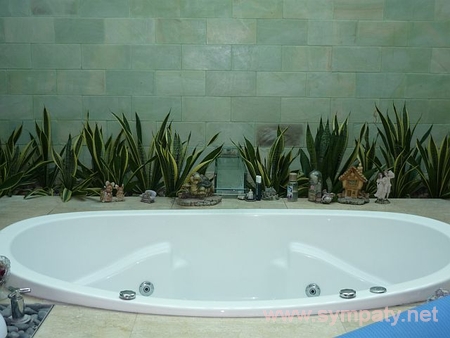 растения в ванной