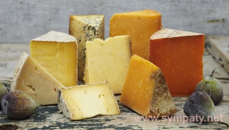 полезен ли сыр