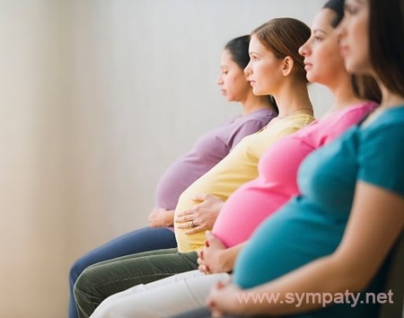 выбрать курсы для беременных