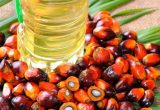 пальмовое масло вредно