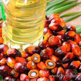пальмовое масло вредно