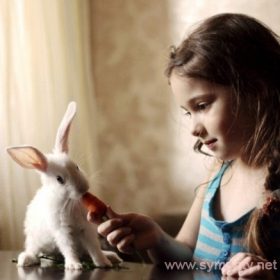 породы домашних декоративных кроликов