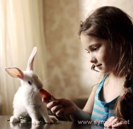 породы домашних декоративных кроликов