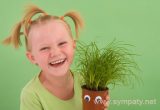 комнатные растения для детей
