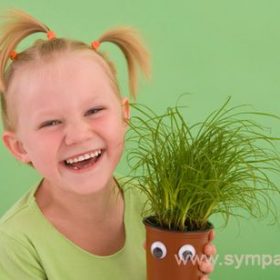 комнатные растения для детей