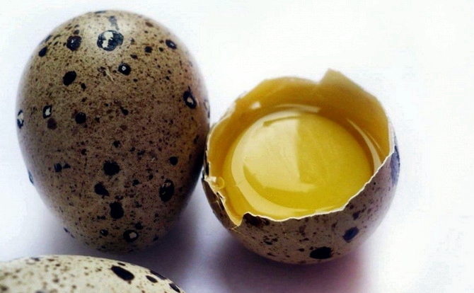 Полезные свойства перепелиных яиц для женщин