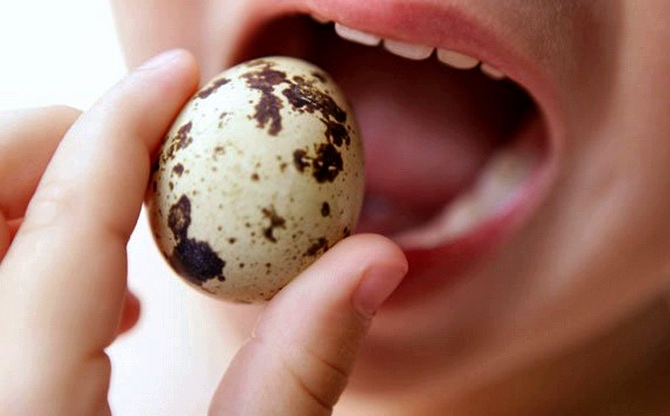 Польза перепелиных яиц для женщин после 50 лет