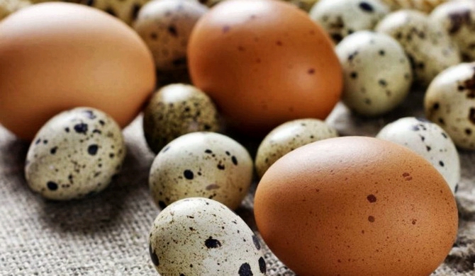 Польза перепелиных яиц для женщин после 50 лет thumbnail
